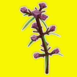 Speargrass Crop - Grow A Garden